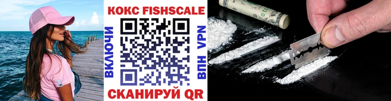 купить наркотики сайты  Каргополь  COCAIN Fish Scale 