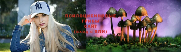 spice Вяземский